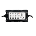 REDRESOR  12/6V 1/4A 200Ah YT-8300